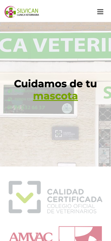 Captura de la web actual de Silvican en un móvil