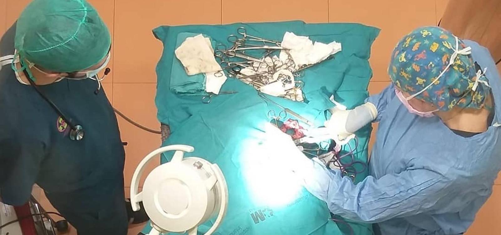 Dos veterinarias operando en el quirófano de Silvican