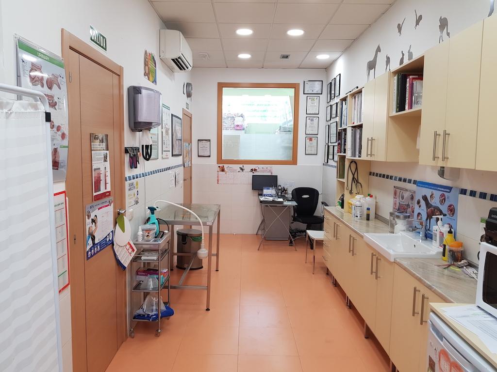 Segunda consulta