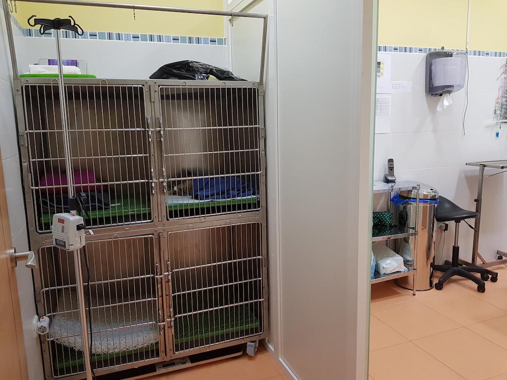 Zona de hospitalización