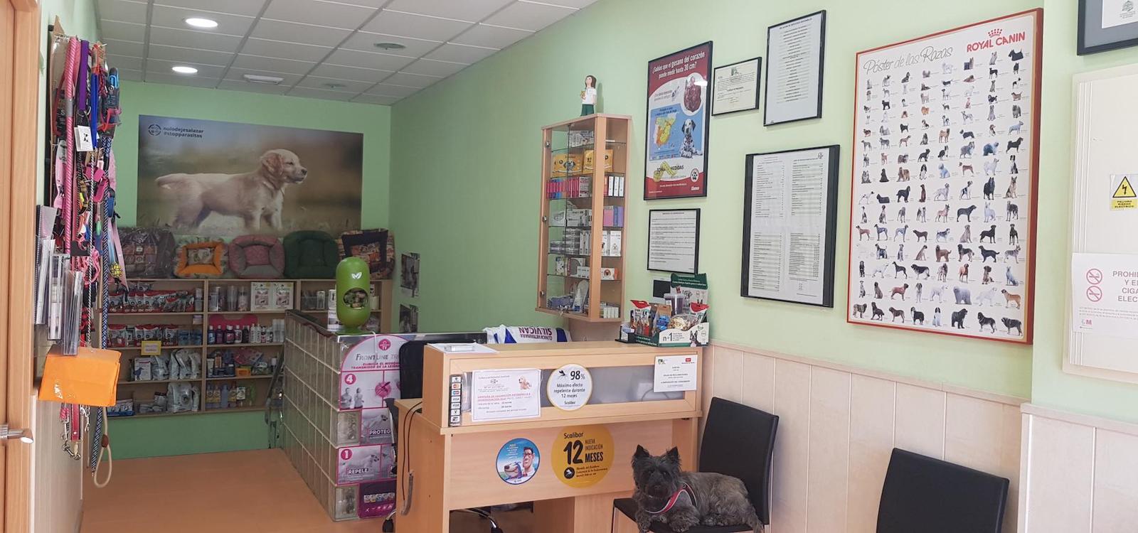 Recepción y tienda de la clínica Silvican, con un perro esperando